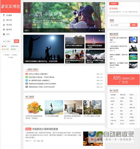 网站制作方案
